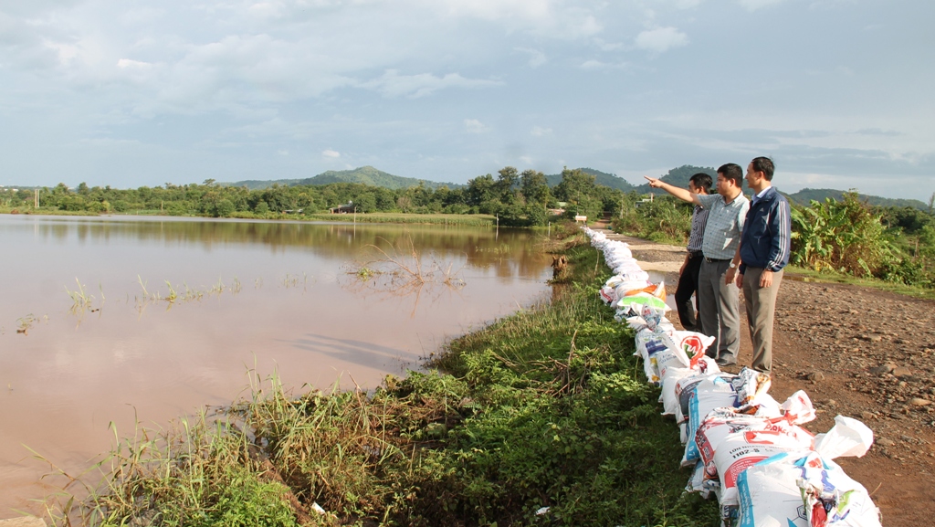 Đắk Lắk tăng cường công tác bảo đảm an toàn công trình thủy lợi, đê điều trong mùa mưa, lũ năm 2024
